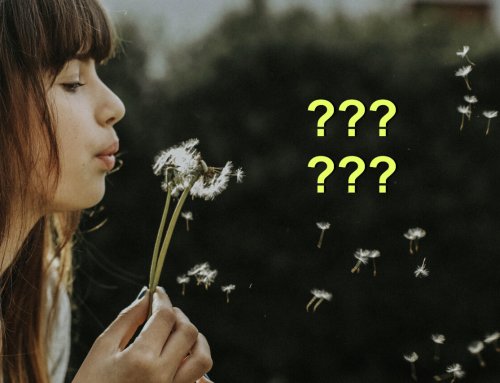 Mes meilleurs voeux de…mais de quoi au fait?