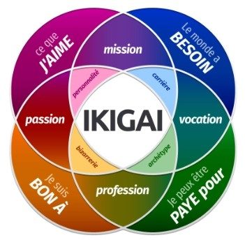 Recherche d'emploi avec ICS: Définir son IKIGAI puis le dénicher